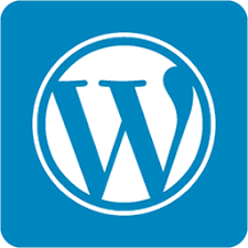 Работа с WordPress
